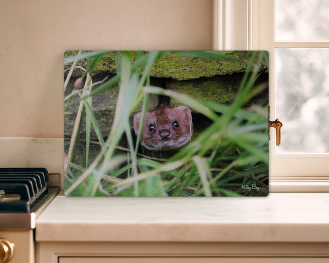 "Pop Goes the Weasel" Glass Worktop Saver  