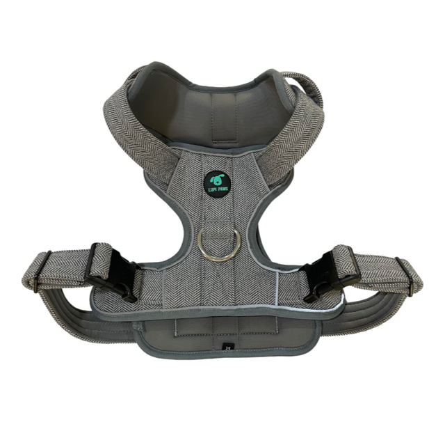 Tweed Harness - Grey