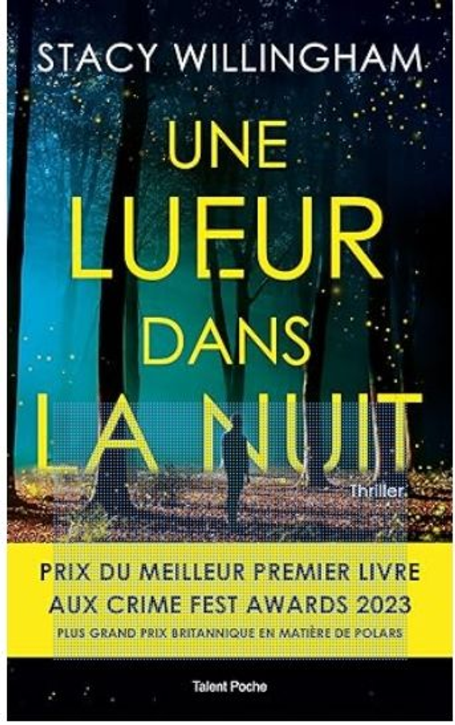 Une lueur dans la nuit de stacy willingham