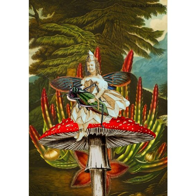 Dziki las - pocztówka 15x21 cm   (1)