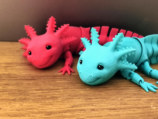 Annabelle the axolotl Jnr