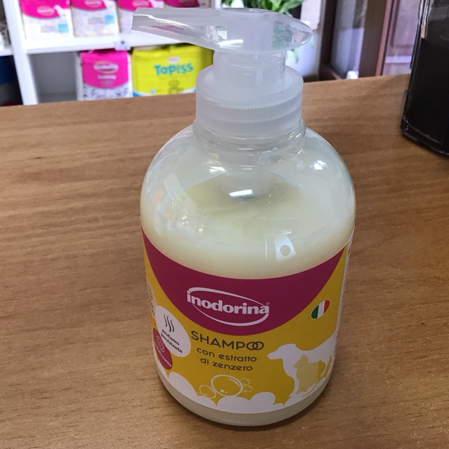 Inodorina Shampoo con estratto di zenzero 300 ml concentrato