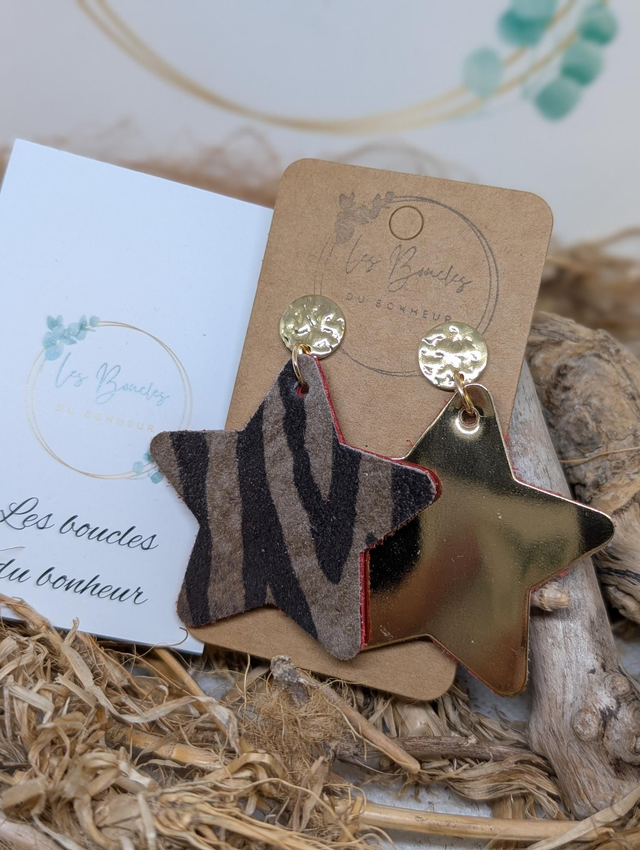 Boucles d'oreilles Asymétrique c2024