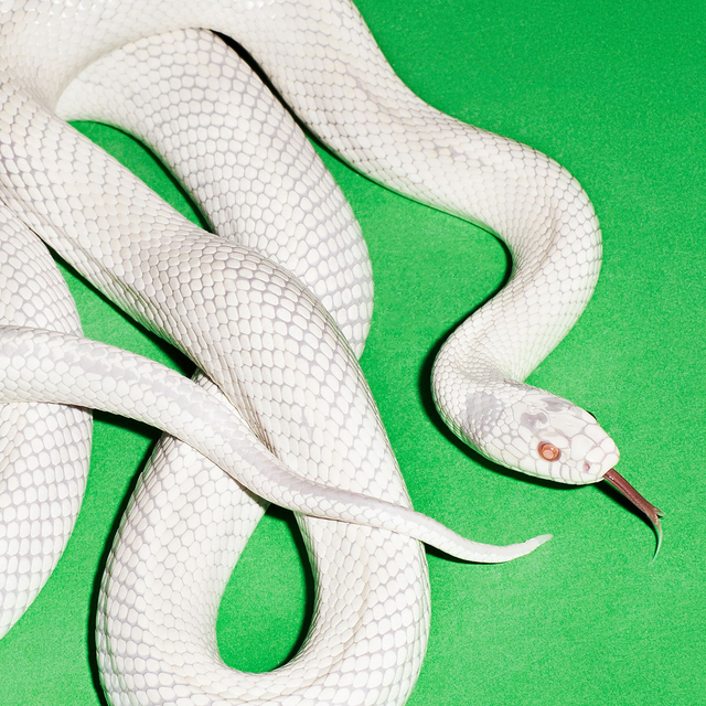 Deftones: Private Music - Vinyl (LP)