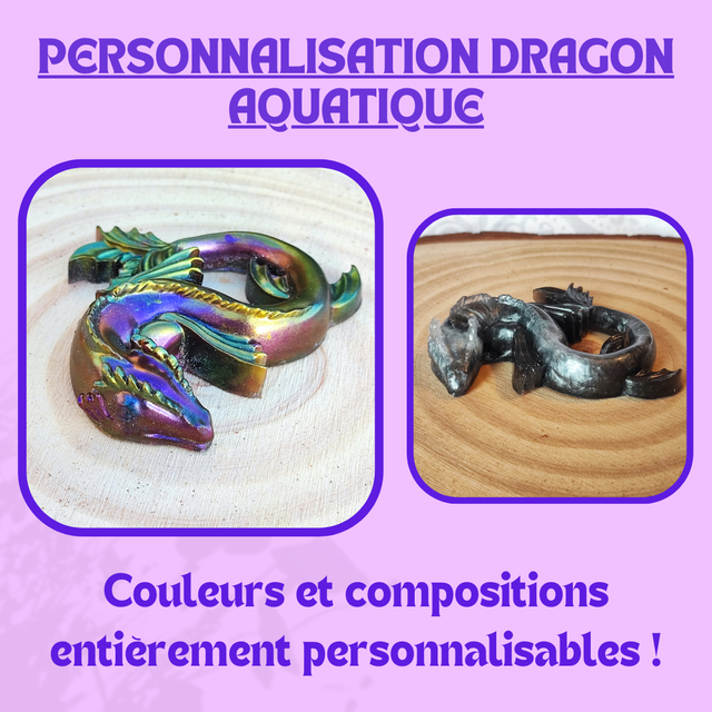 Personnalisation Dragon Aquatique 