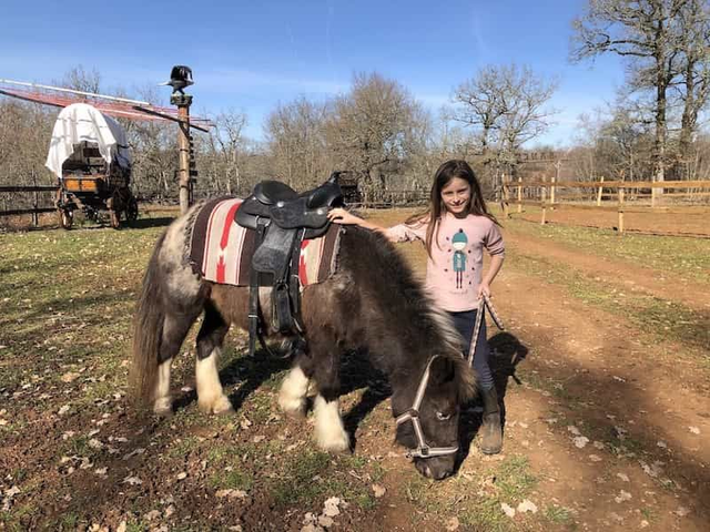 Bon cadeau Découverte du Poney