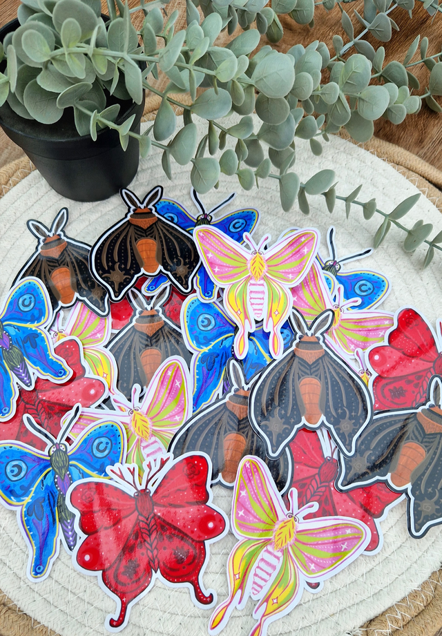 - Papillon nuit secrète -