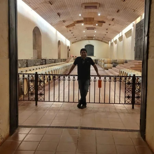 Vinícola Concha y Toro 