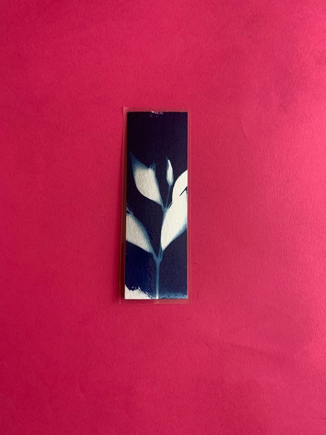 Marque page cyanotype végétal original sur papier épais et plastifié