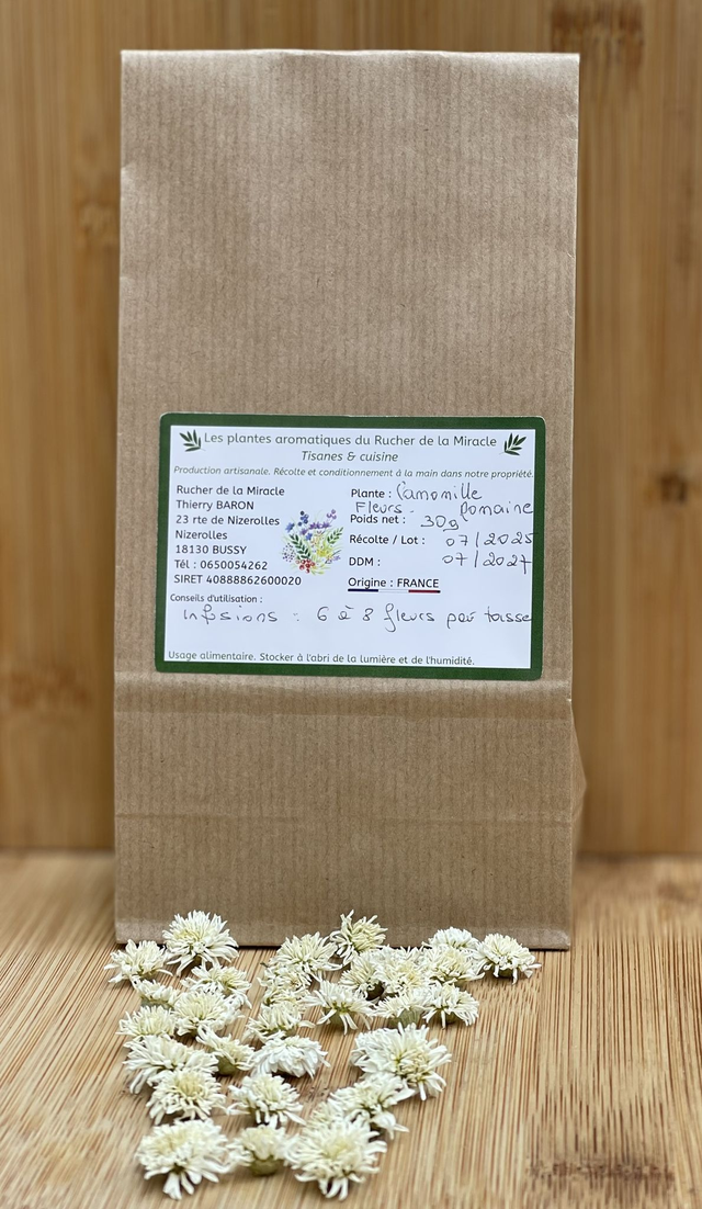 Fleurs de camomille Romaine séchées. Origine France