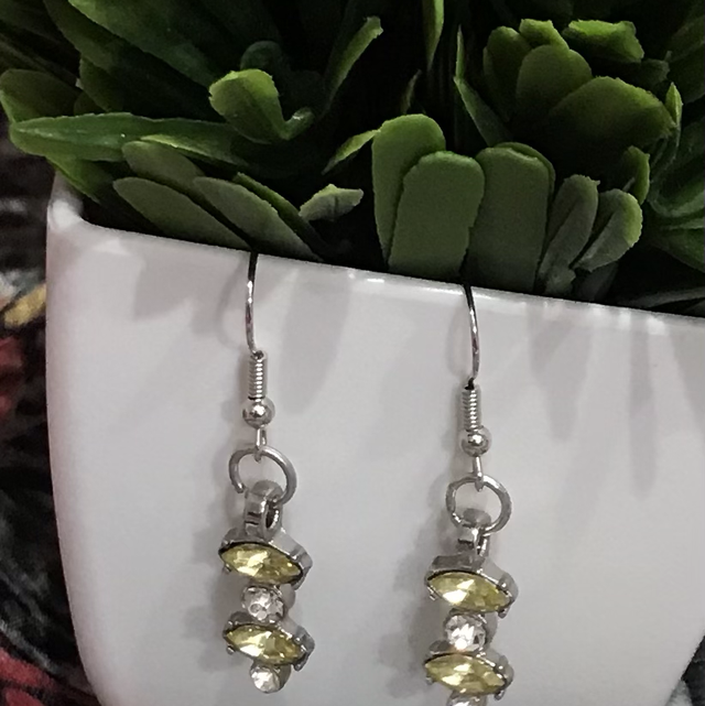 Silver Dangling Earrings- SDE133