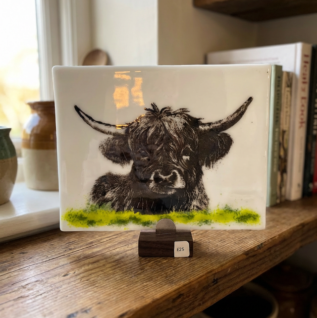 Cute Highland Cow Plaque