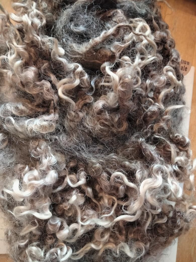 Toison0023 Leicester longwool 69g