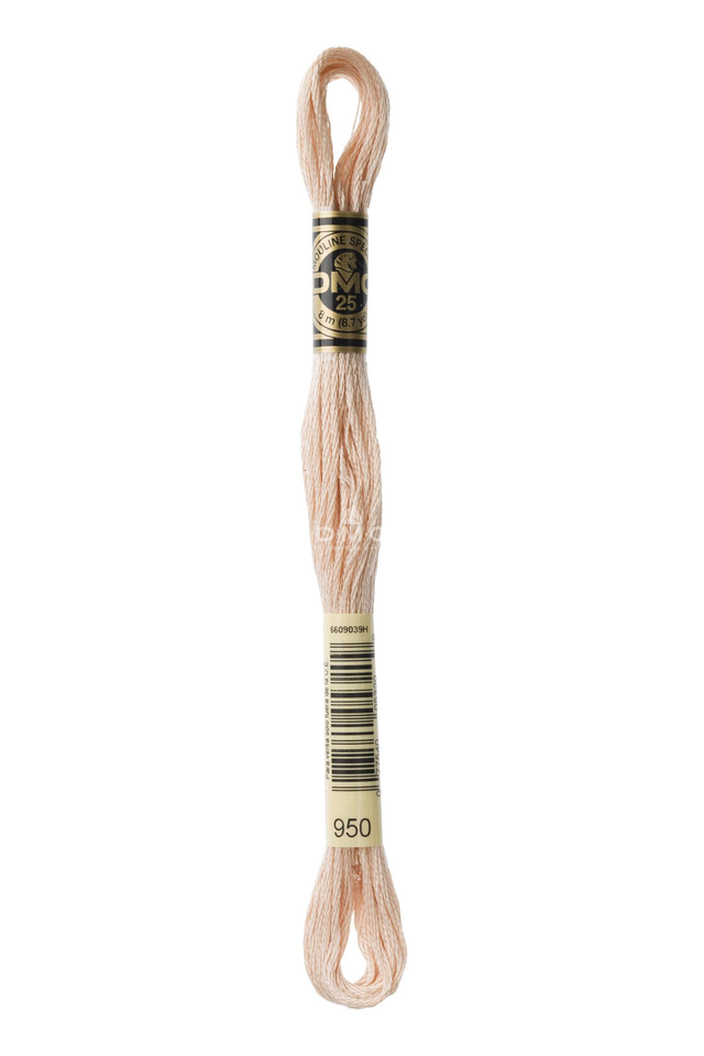N°950 Mouliné Spécial DMC