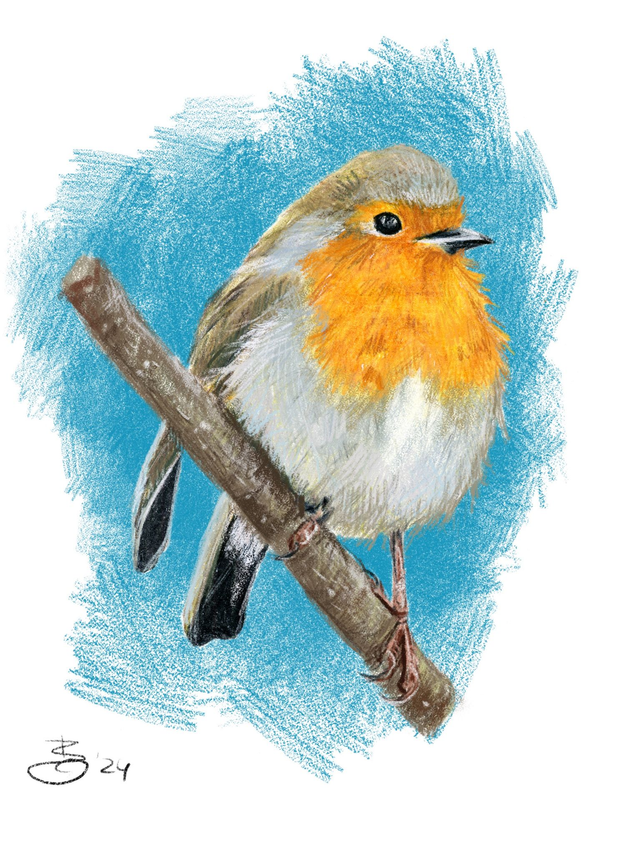 FineArt-Print - Rotkehlchen auf Ast in Buntstift