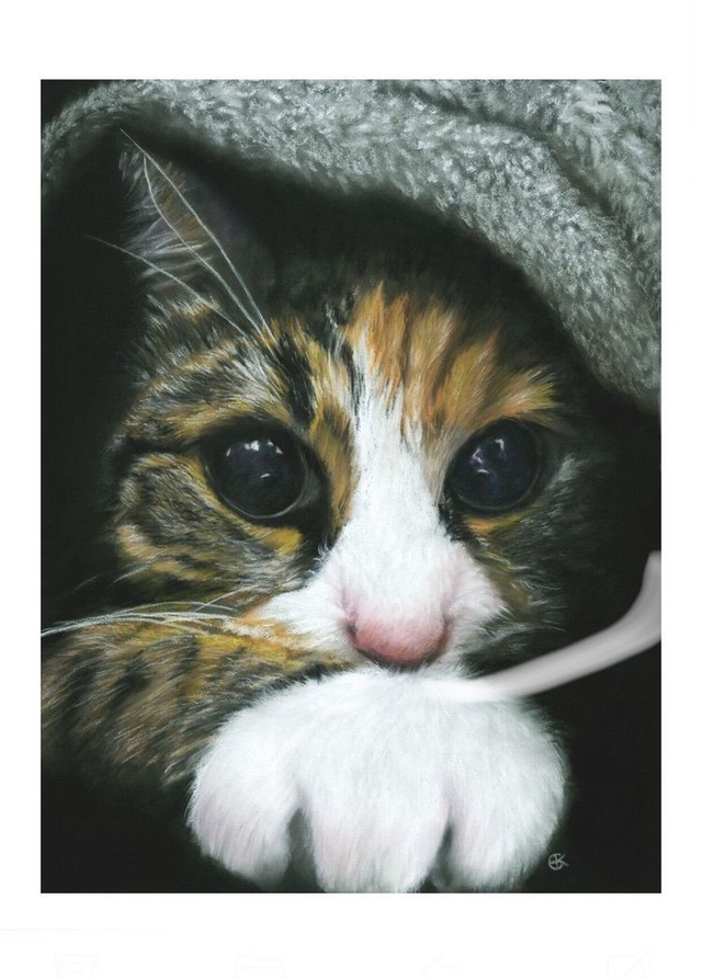 Print (large) 'NOVA' (Konijnenparadijs) 