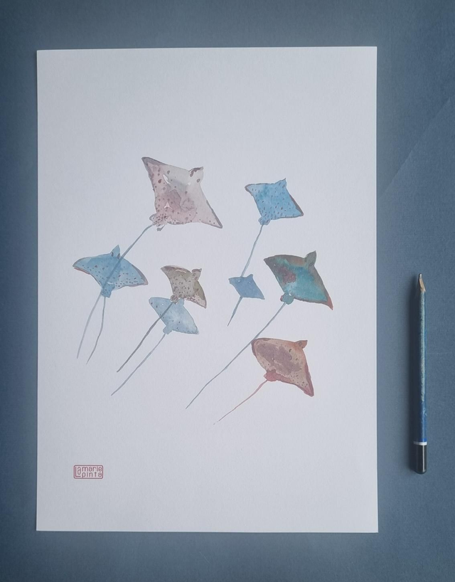 Raie cerf-volant à partir de 4€