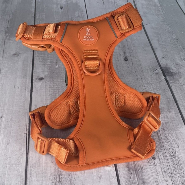 Orange Comfort+ Explorer Harness