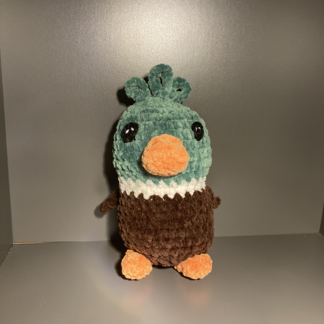 Canard colvert 