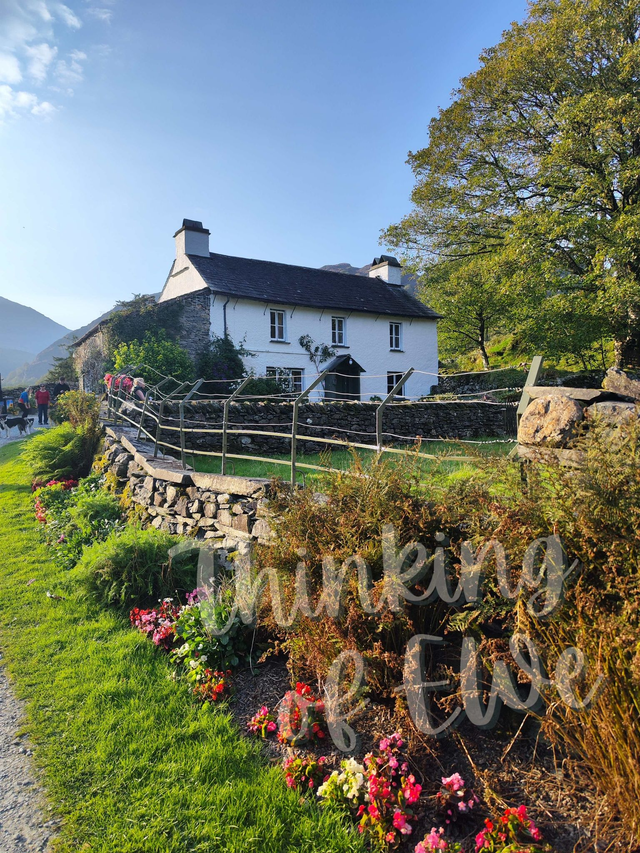 Herdy Experience - Handcrafted Reclaimed Wood