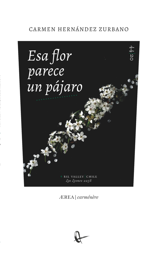 Esa flor parece un pájaro - Carmen Hernández Zurbano