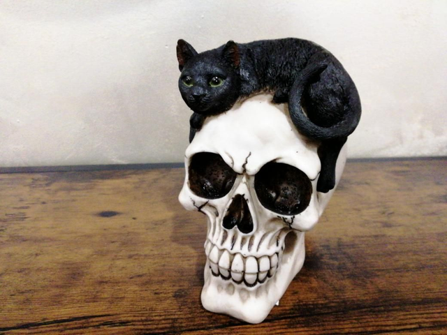Tête de mort chat