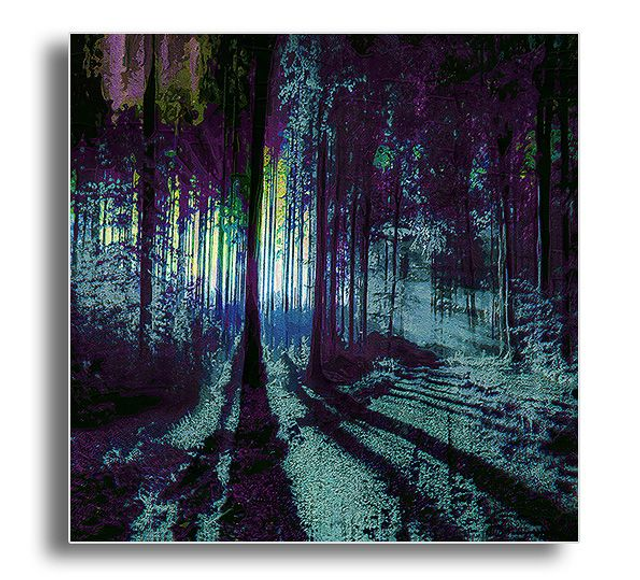 02 Nature - Light Moves This Night, 2021.