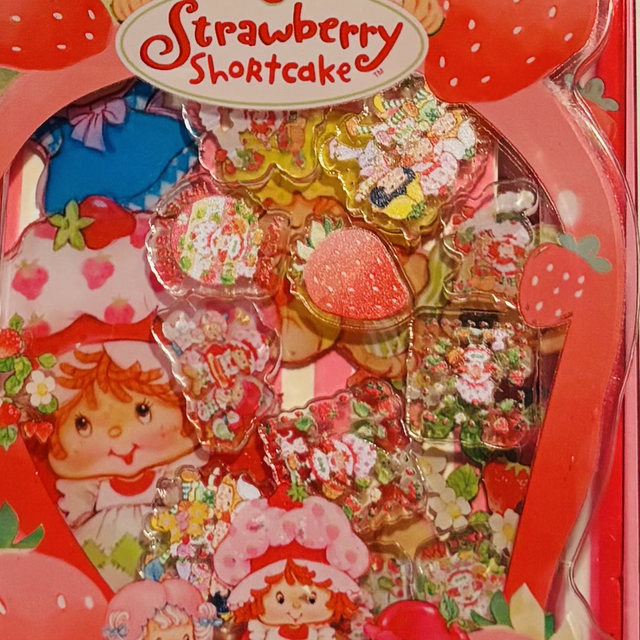 Acrylic Strawberry Shortcake themed shaker notebook