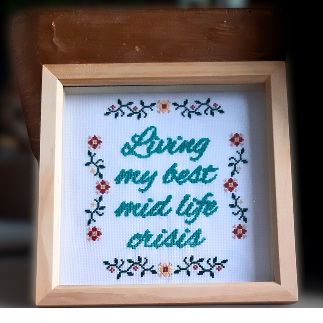 Living my best mid life crisis, completed cross stitch home decor