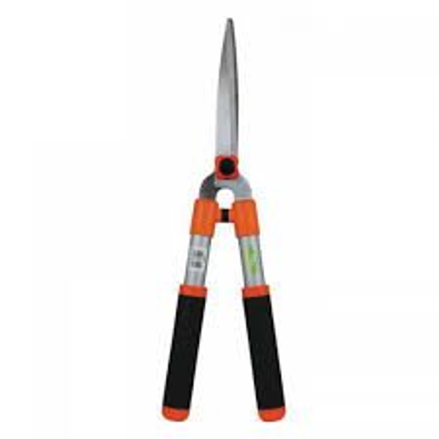 Shears Straight Hedge
