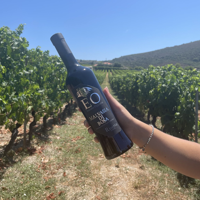 Malvasia di Bosa doc Riserva 2013 (500ml)