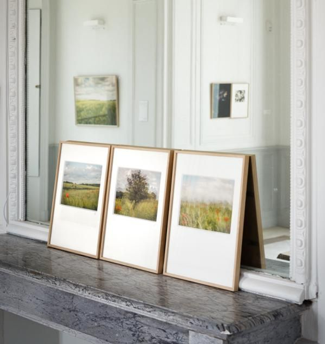 Chercher Vincent, Etude de coquelicots - triptyque