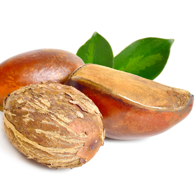 Beurre de Karité Brut