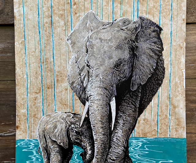 Elephants desert rain 