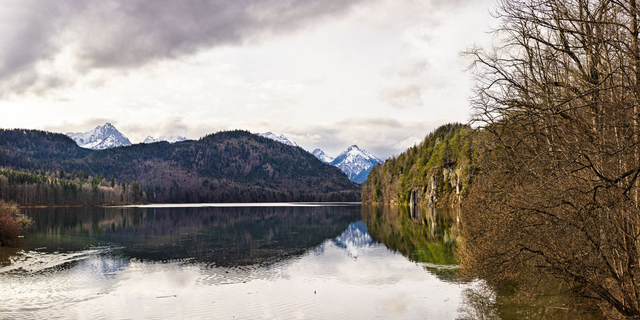 Alp Lake in Schwangau: Reflections of Serenity