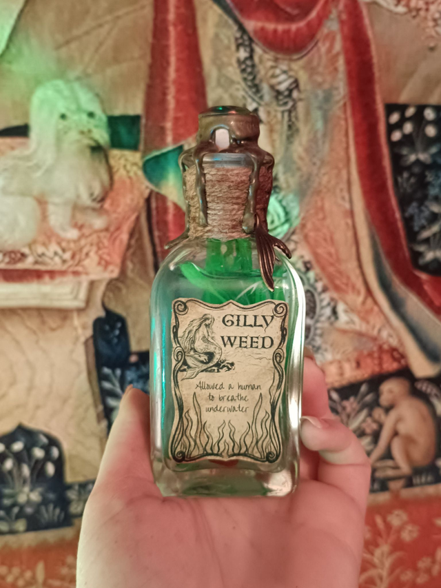 Gillyweed (Branchiflore)