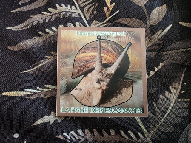 Autocollant la page des escargots 