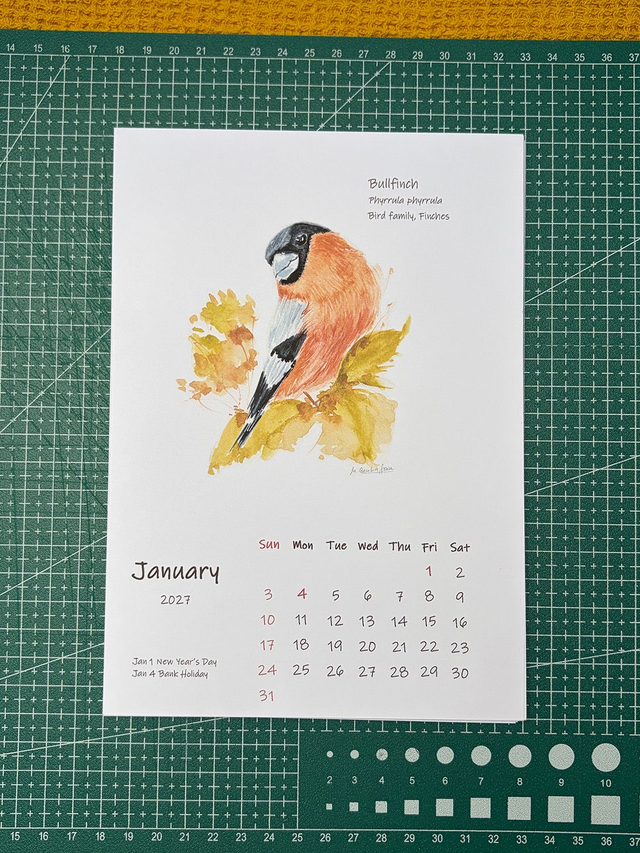 Calendar 2027 A year of Garden Birds_white paper