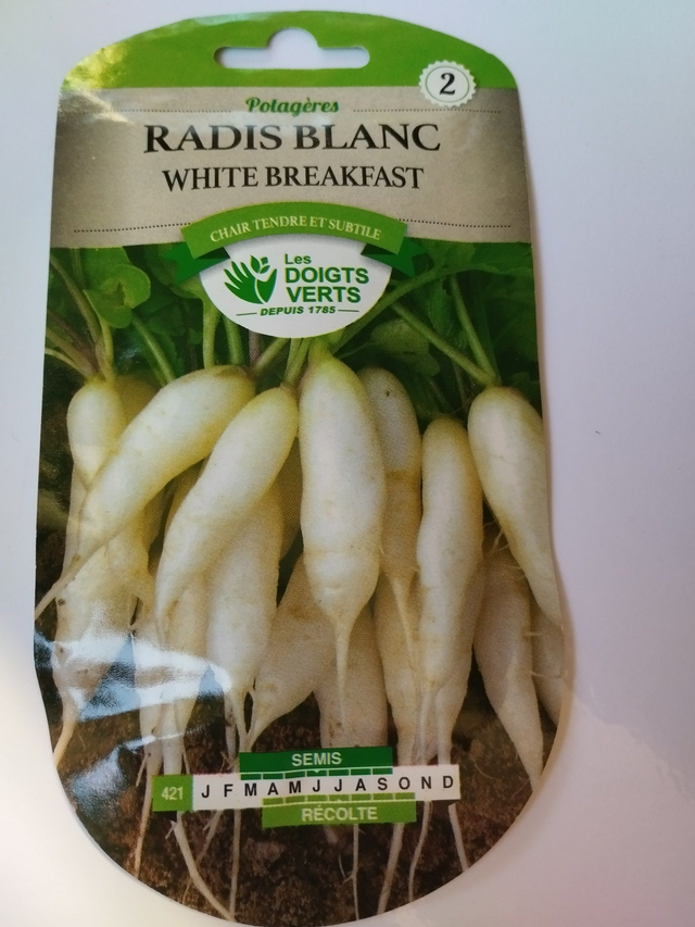 Radis Blanc White Breakfast