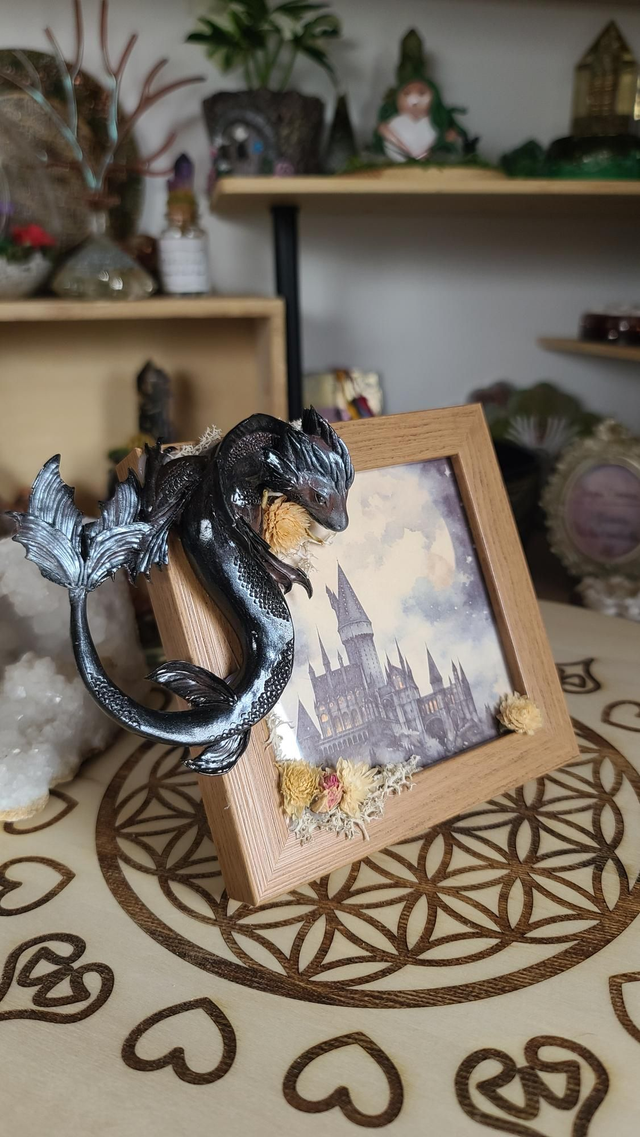Cadre photo ✨️ Dragon de Terre 🐉 Shungite