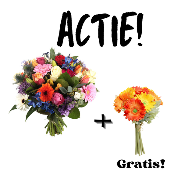Actie! Gratis bosje gerbera
