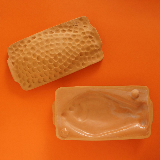 Chemisette à Dorade