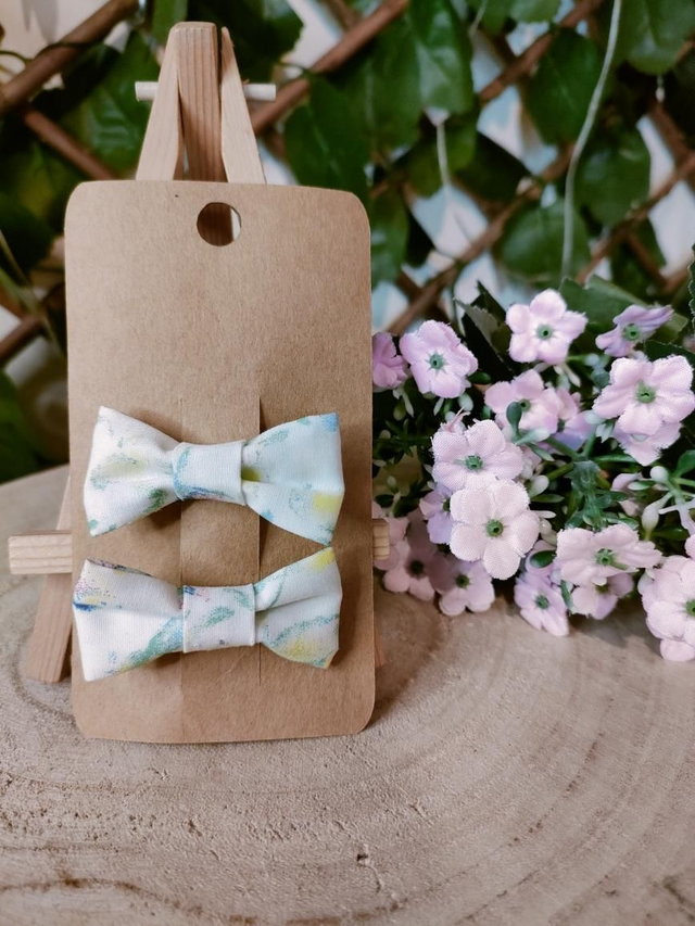 Duo barrettes perroquet 5cm