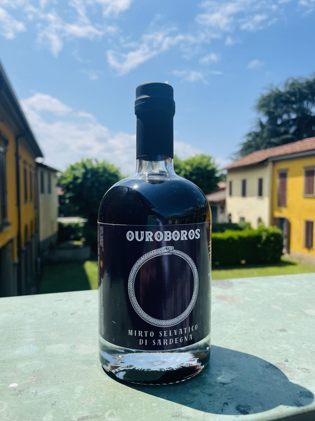 Mirto selvatico di Sardegna