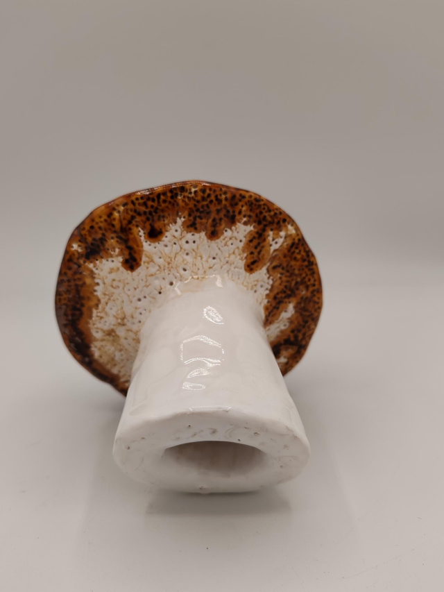 Champignons décoratifs taille moyenne