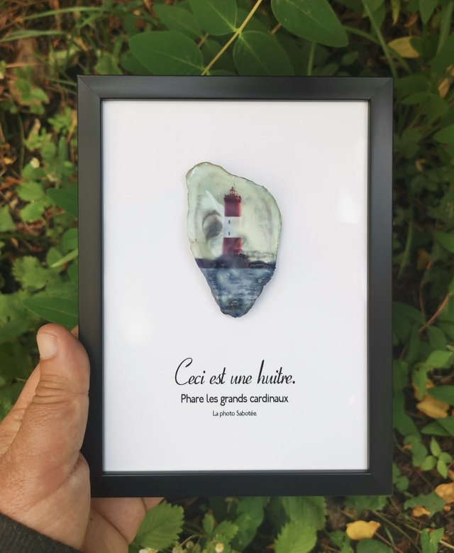 13x18 : Ceci est une huitre "Phare des grands Cardinaux"