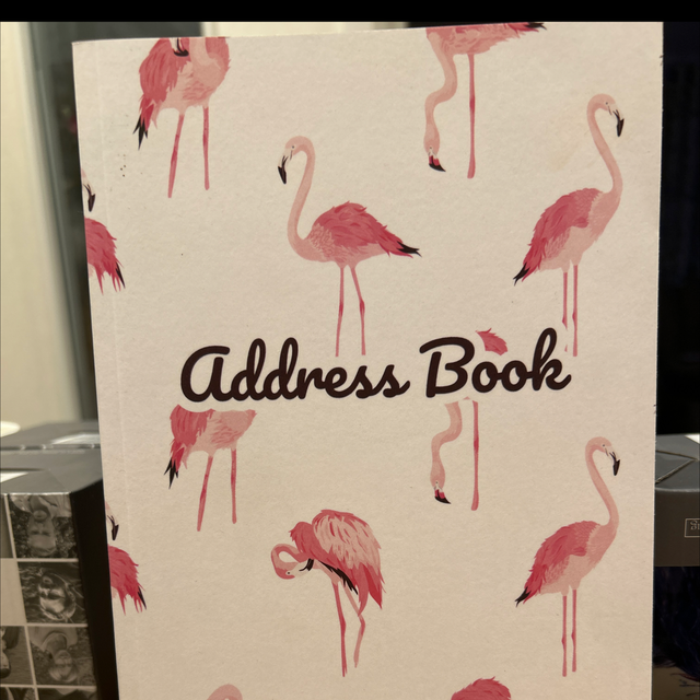 Lovely flamingo notebook 