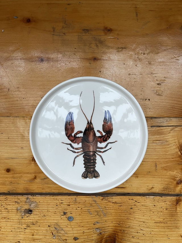 Teller flach mit Rand 21 cm Tigerkrebs