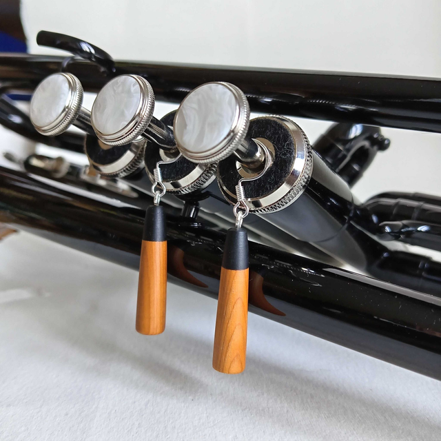 Boucles d&#039;oreilles bicolores