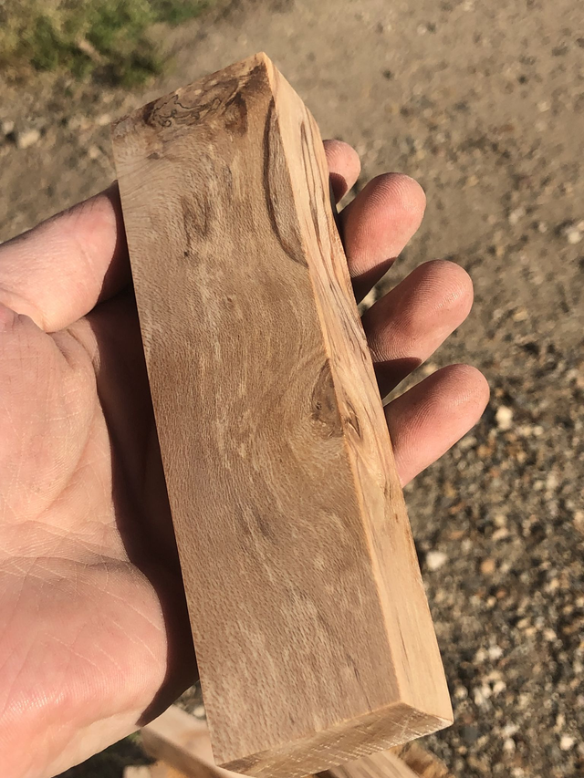 Houx partiellement échauffé 